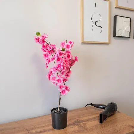 Edelweiss With Free Garage